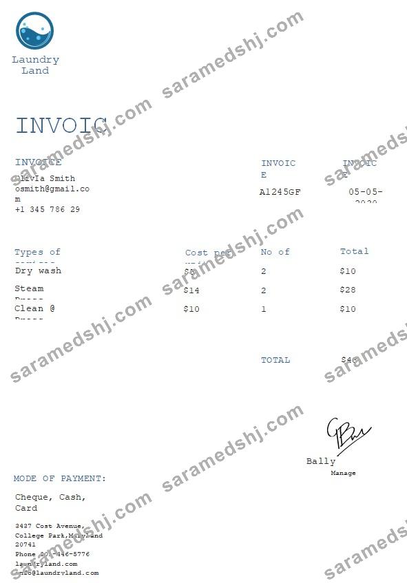 Free Laundry Invoice Template